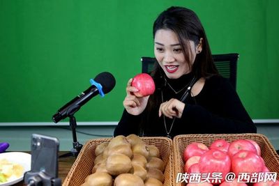 專業(yè)合作社引領(lǐng)，果農(nóng)增收致富路——扶風(fēng)獼猴桃實(shí)現(xiàn)全年供應(yīng)與銷售新突破